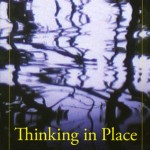 Thinking in Place: Art, Action, and Cultural Production by Carol Becker
